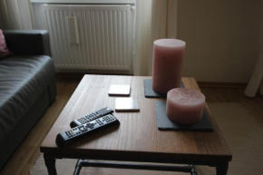 Гостиница DS Apartment  Вена